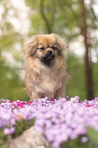 blog
