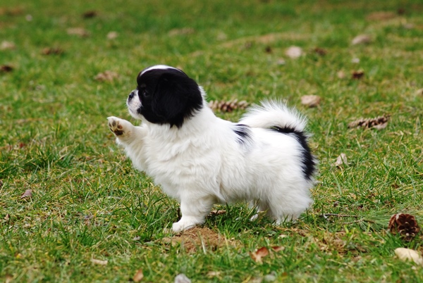 blog